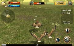 Wild Eagle Sim 3D afbeelding 9