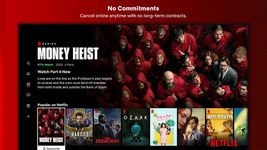 Screenshot  di Netflix apk