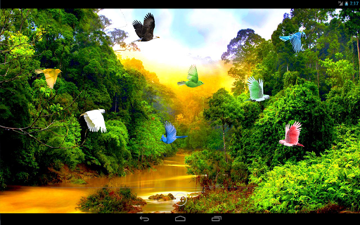 Forest River Live Wallpaper  Android - Tải