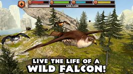 Captura de tela do apk Falcon Simulator 4