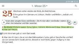 Bibel Konkordanz Screenshot APK 7