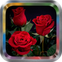 APK-иконка Rose Flower Live Wallpaper Pro