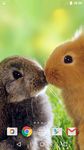 Cute Animals Live Wallpaper image 11