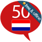 Learn Dutch - 50 languages APK icon