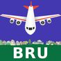 Brussels Flight Information