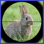 Ícone do Coelho caçador Rabbit Hunter