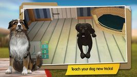 DogHotel - My boarding kennel ekran görüntüsü APK 3