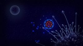 Microcosmum: survival of cells Screenshot APK 12