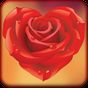 Rose Love Stickers apk icon