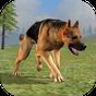 Wild Dog Survival Simulator APK