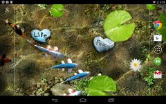 Koi Live Wallpaper zrzut z ekranu apk 