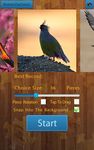 Jigsaw Oiseaux capture d'écran apk 