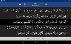 Quran. 44 Languages Text Audio image 3