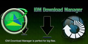 Картинка 4 ☆ IDM Video Download Manager ☆