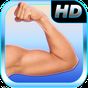 Ikon Best Arm Fitness: Bicep, Tricep Upper Body Workout