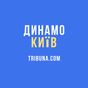 Иконка Динамо Киев+ Tribuna.com