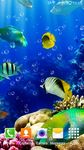 L'aquarium Fond d'écran image 7