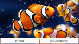 Aquarium Live Wallpaper image 2