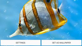 Aquarium Live Wallpaper image 