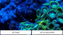 Aquarium Live Wallpaper image 1