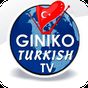 Giniko Turkish TV - Live & DVR Icon