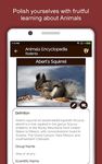 animaux Encyclopédie capture d'écran apk 11