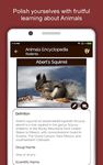 animaux Encyclopédie capture d'écran apk 3