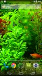 Gambar Real Aquarium 3D Wallpaper 4