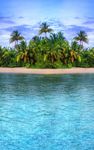 Paradise Island Live Wallpaper image 1
