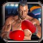 Real 3D Boxing Punch apk icono