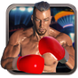 Biểu tượng apk Real 3D Boxing Punch