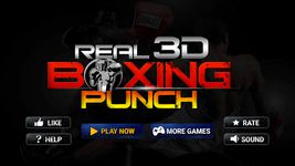 Real 3D Boxing Punch image 20