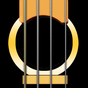Bass Guitar Solo ( Basgitaar )