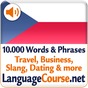 Выучите лексику: Чешский
