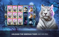 Slots Super Tiger Casino Slots image 3
