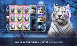 Slots Super Tiger Casino Slots image 10