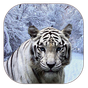 tigre blanco apk icono