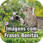 Ícone do apk Imagens com Frases Bonitas