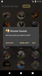 Κόκορας ήχοι και Ringtone στιγμιότυπο apk 2