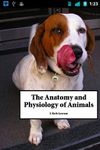Animal Anatomy and Physiology image 4