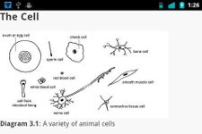 Animal Anatomy and Physiology image 3