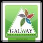 Galway Exam System icon