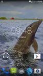 Dolphin 3d. Video Wallpaper image 