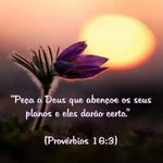 Imagem 3 do Frases de Deus