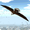 imagen eagle bird city simulator 2015 0mini comments