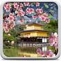 Biểu tượng apk Sakura Vườn Hình Nền Động
