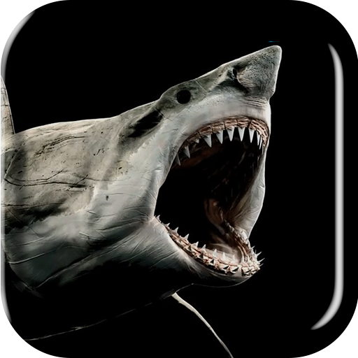 Hình nền xiaomi black shark : Thủ thuật và mẹo để tạo không gian đẹp trên  điện thoại