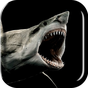 APK-иконка Shark 3D Live Wallpaper