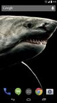 Imagem  do Shark 3D Live Wallpaper