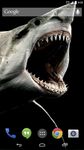 Imagem 1 do Shark 3D Live Wallpaper